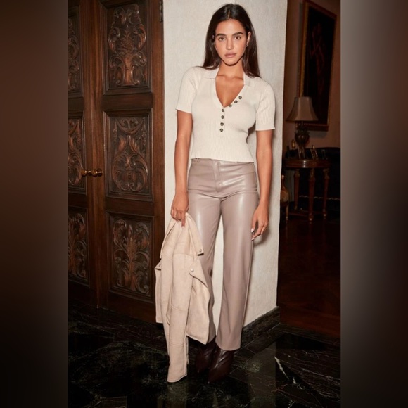 Dynamite Giselle Beige Tan Faux Leather Pants with Soft Lining & Flattering Fit - Picture 4 of 8